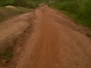 Africa 1